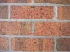 housebuild_20090801_01.jpg